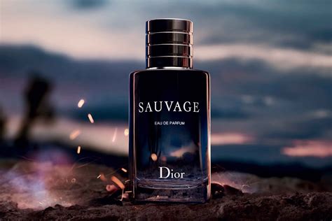 dior saovage|dior sauvage best price.